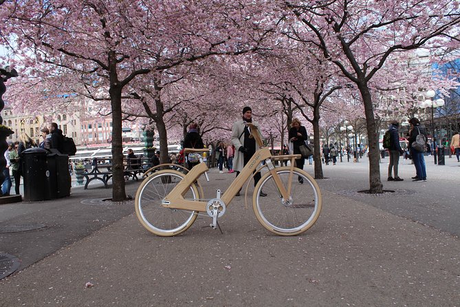 The Wooden Bicycle Tour in Stockholm - Is $58.08 a fair price?