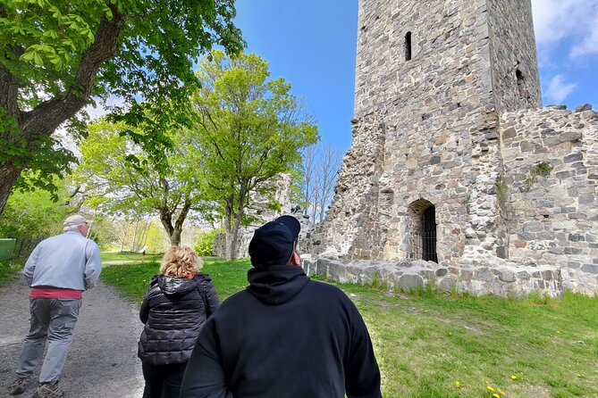 Viking History, Runes & Countryside 9h Tour to Sigtuna & Uppsala - Leaving Stockholm for Viking country