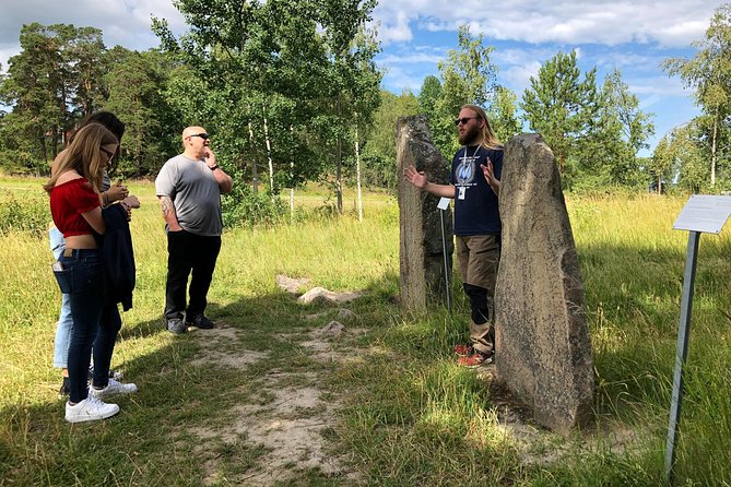 Viking History Small Group Tour from Stockholm: Half Day Including Sigtuna - Leaving Stockholm for the Viking countryside