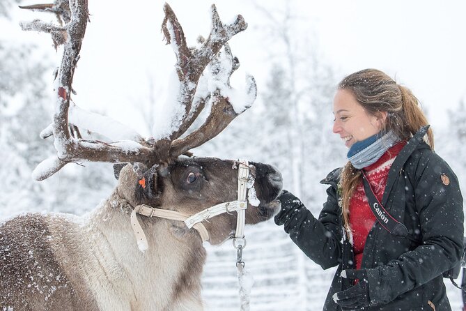 Visit the Sami and Reindeer in a Day Trip from Abisko - Why this Sámi cultural visit is worth considering