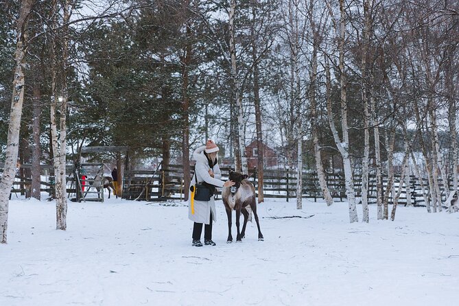 Visit the Sami and Reindeer in a Day Trip from Abisko - Is $169.60 good value?