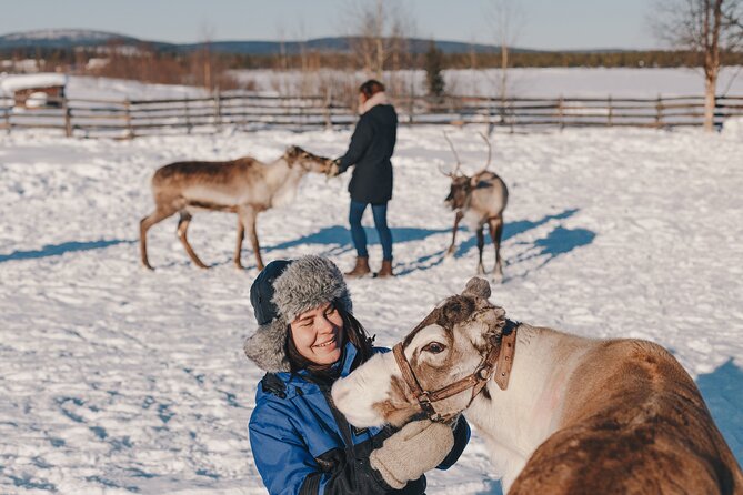 Visit the Sami and Reindeer in a Day Trip from Abisko - The ride from Abisko or Björkliden to Jukkasjärvi