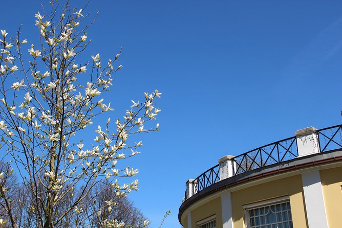 Walk Malmö with an audio guide - Stortorget, statues, and Malmö’s public heart