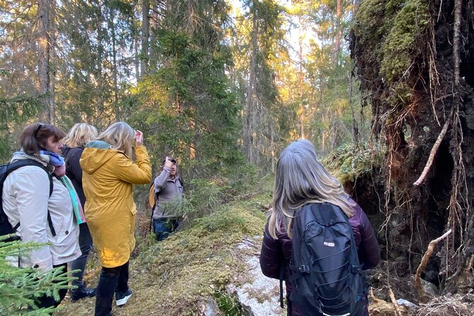Wolf and Wildlife Tracking in Sweden - Key points at a glance