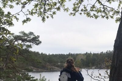 Wolf and Wildlife Tracking in Sweden