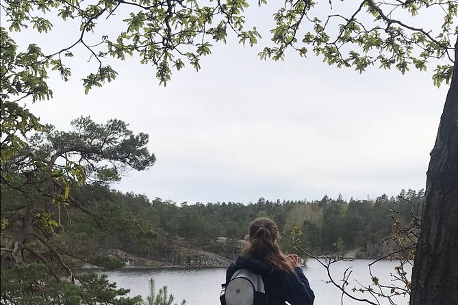 Wolf and Wildlife Tracking in Sweden - Reading the forest like a tracker